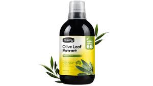 Olive Leaf Extract - Natural - 500 ml>Store NZ