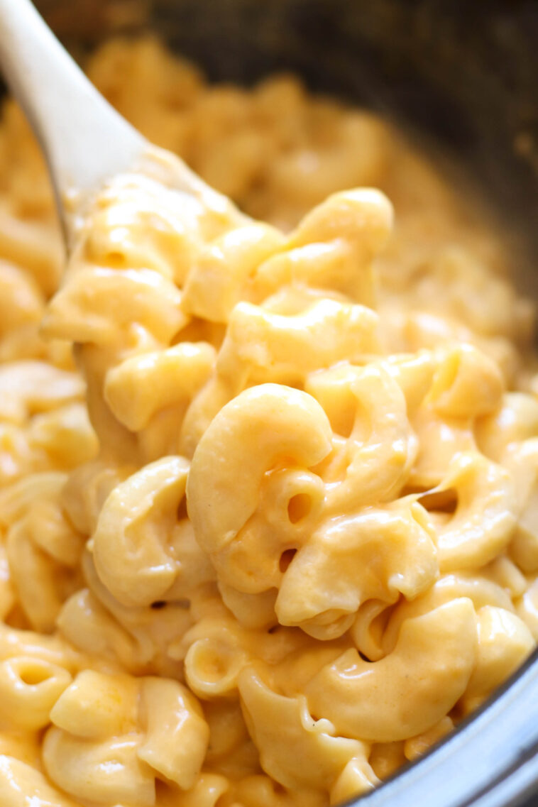 best homemade creamy macaroni and cheese recipe